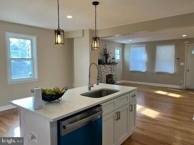 301 Mount Holly St, Baltimore, MD 21229 - photo 4