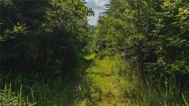 000 Old Vashti Rd unit 2, Taylorsville, NC 28681 - photo 4