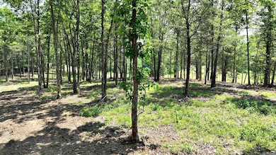 TBD, Tract 3 Polk Road 158, Mena, AR 71953 - photo 3