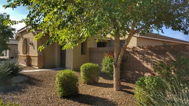 Front Yard Shade Tree