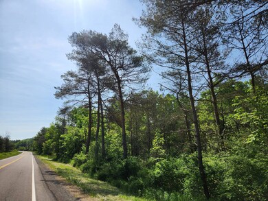 1.7 Marsh Rd unit 7, Erin, NY 14838 - photo 3