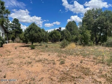 641 Campbell Ln, Show Low, AZ 85901 - photo 4