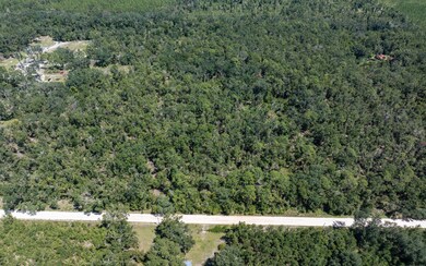 TBD 145th Rd, McAlpin, FL 32062 - photo 4