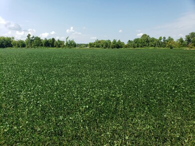 0 Little Walnut Rd, Ashville, OH 43103 - photo 4