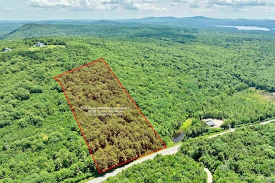 Approximate boundary lines of the Center Street land (Lot 2).