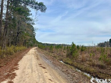 0 Craven Rd, Marion, SC 29571 - photo 6