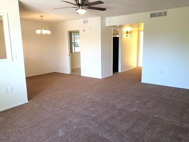 10347 W Mission Ln, Sun City, AZ 85351 - photo 7