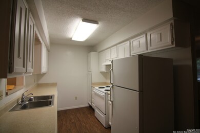 501 Buttercup, New Braunfels, TX 78130 - photo 5