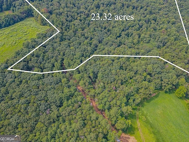 0 Orchard Ln unit 10579458, Talking Rock, GA 30175 - photo 3