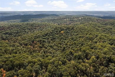 0 Bcr 300 unit MIS25064974, Marble Hill, MO 63764 - photo 4