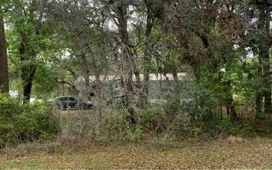 236 NE Colvin Ave, Lake City, FL 32055 - photo 6