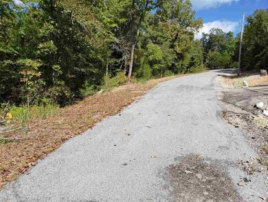 L-35, 36, B-7 Pahokee Dr, Cherokee Village, AR 72529 - photo 3