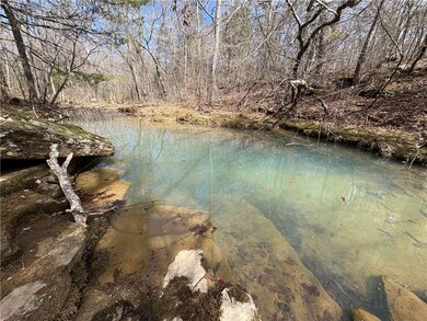 swimming hole in the draw.