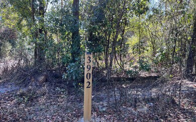 3902 280th St, Branford, FL 32008 - photo 4