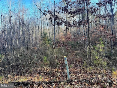 0 Buggy Ln unit VAMA2002548, Uno, VA 22738 - photo 4