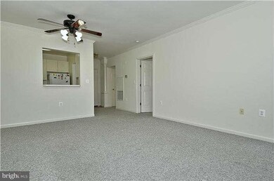 The Pavillion unit 204, Falls Church, VA 22043 - photo 6