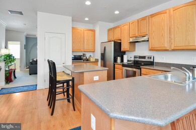 4335 Vintage Ivy Ln, Owings Mills, MD 21117 - photo 4