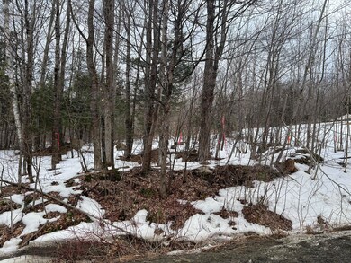 Bigelow Rd 4