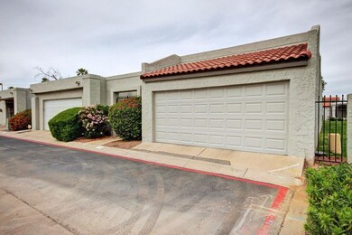 Fern Drive (3)
