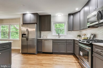 814 Larch Ave, Takoma Park, MD 20912 - photo 6