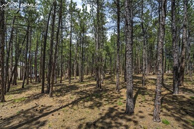 View of undeveloped land