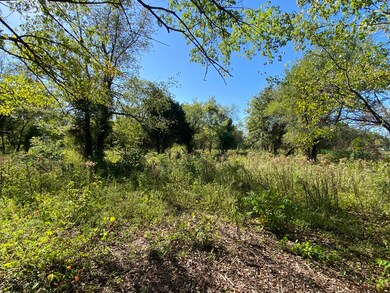 000 S Adams St, Walnut Grove, MO 65770 - photo 4