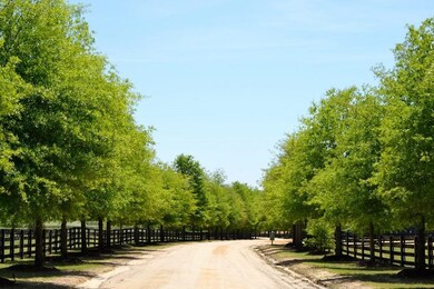 Main Drive