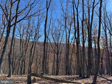 Lot 2 Cove Creek, Baker, WV 26801 - photo 5