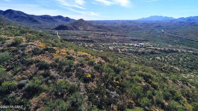 15600blk E Attaway Trail, Vail, AZ 85641 - photo 6