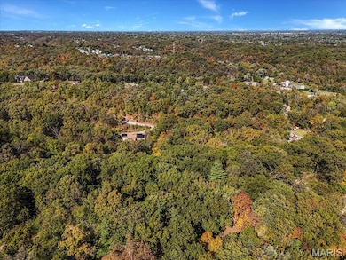 659 Castlecliff Rd, Meramec Township, MO 63021 - photo 4