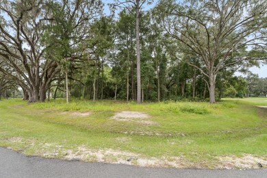 17287 SW 11 Ct, Newberry, FL 32669 - photo 5
