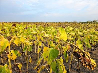 40500 E 144th Ave, Hudson, CO 80642 - photo 7