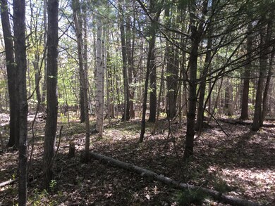 103 Hodsdon Rd, Pownal, ME 04069 - photo 7