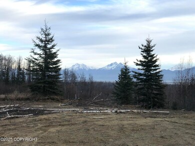 7637 S Knik Goose Bay Rd, Wasilla, AK 99654 - photo 5