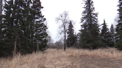 DSC01729