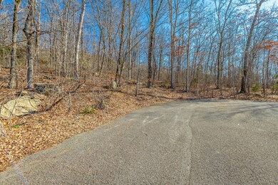 Myers Avenue Lot HD-1
