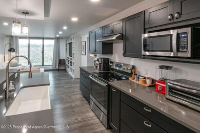 1316 Vine St unit 1316, Aspen, CO 81611 - photo 6