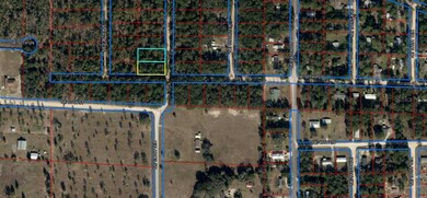 TBD NE 138th Terrace, Williston, FL 32696 - photo 6