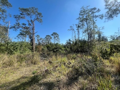 238 Swift Ave, Sebring, FL 33870 - photo 2