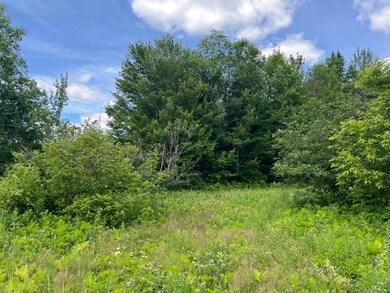 0 Rt 14 unit 4918518, Albany, VT 05820 - photo 4