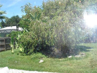 Yard/Garden.