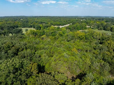 0 Hwy 167 N, Cave City, AR 72521 - photo 6