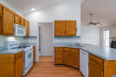 929 Devon Spring Ct, Charlottesville, VA 22903 - photo 6