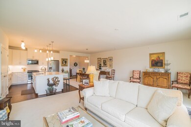 10520 Resort Rd unit 302, Ellicott City, MD 21042 - photo 7