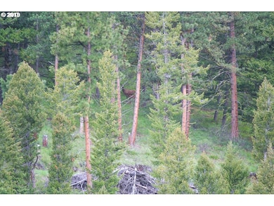 0 Rail Canyon Rd unit 19056183, Joseph, OR 97846 - photo 6