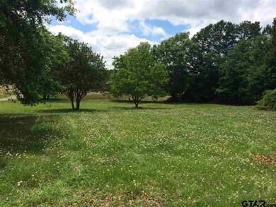 10811 Fm 3226, Arp, TX 75750 - photo 3