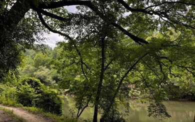 Additional View