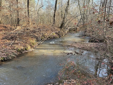 County Rd 208, Heflin, AL 36264 - photo 5