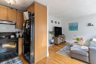 182 W Brookline St unit 4, Boston, MA 02118 - photo 5