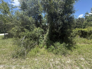 0 Goolsby St unit 2254412, Webster, FL 33597 - photo 7